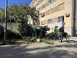 Sezonsko uređenje javnih zelenih površina