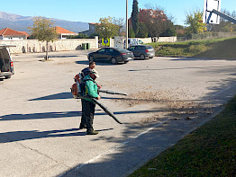 Sezonsko uređenje javnih zelenih površina